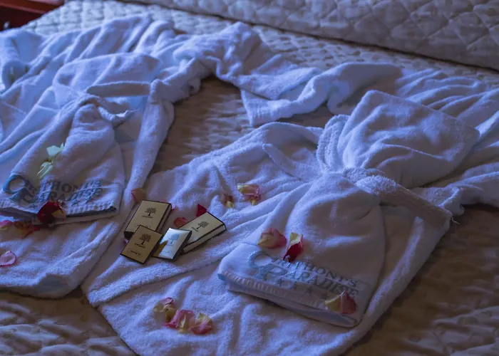 Crithoni's Paradise Alinda (Leros)