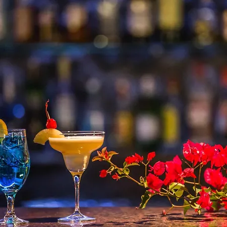 Crithoni's Paradise فندق 4*