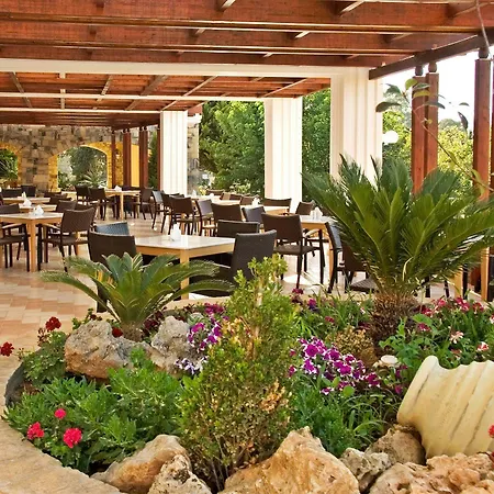 κριθώνι Paradise Άλιντα